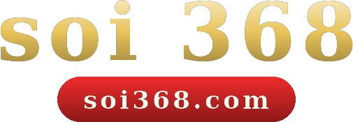 soi 368 logo